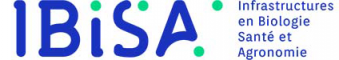 GIS IBISA