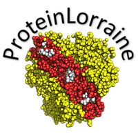 ProteinLorraine 