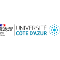Logo OK