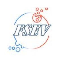 FSEV