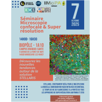 Séminaire Imagerie