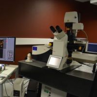 Microscope