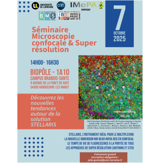 Séminaire Imagerie
