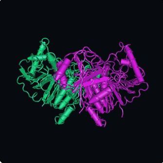 GlycoBio