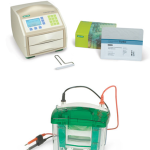 Trans-Blot Turbo Mini-PROTEAN 3 et Electrode Assembly